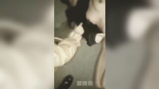 校园欺凌 多名女学生殴打美眉 场面毫无人性 你们也有逼 奶子 干嘛要打这个部位 听说话貌似河南的